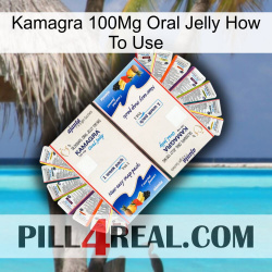 Kamagra 100Mg Oral Jelly How To Use